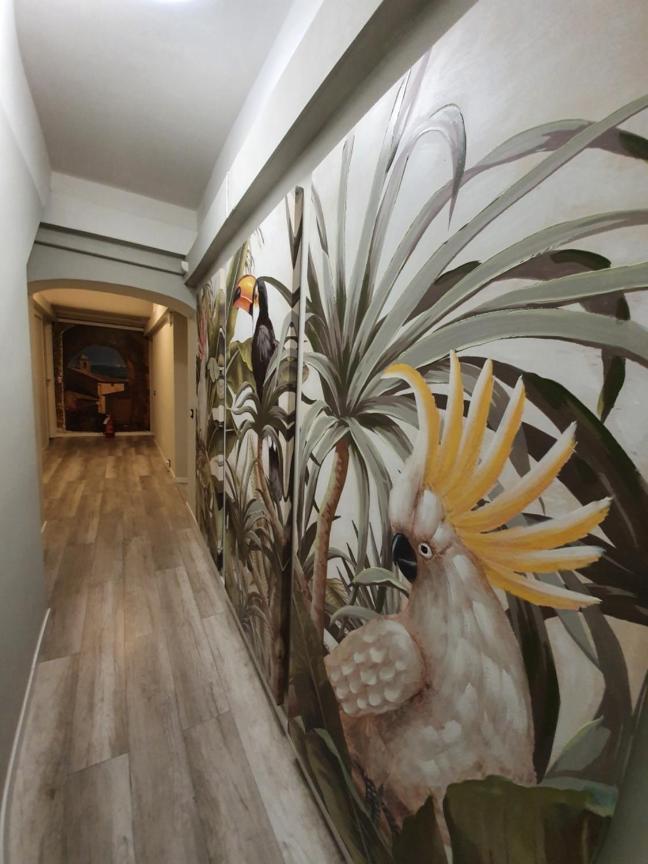 Domus Fieschi Rooms Genua Exteriör bild
